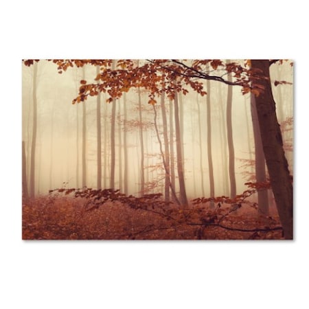 Philippe Sainte-Laudy 'The Last Of Fall' Canvas Art,30x47